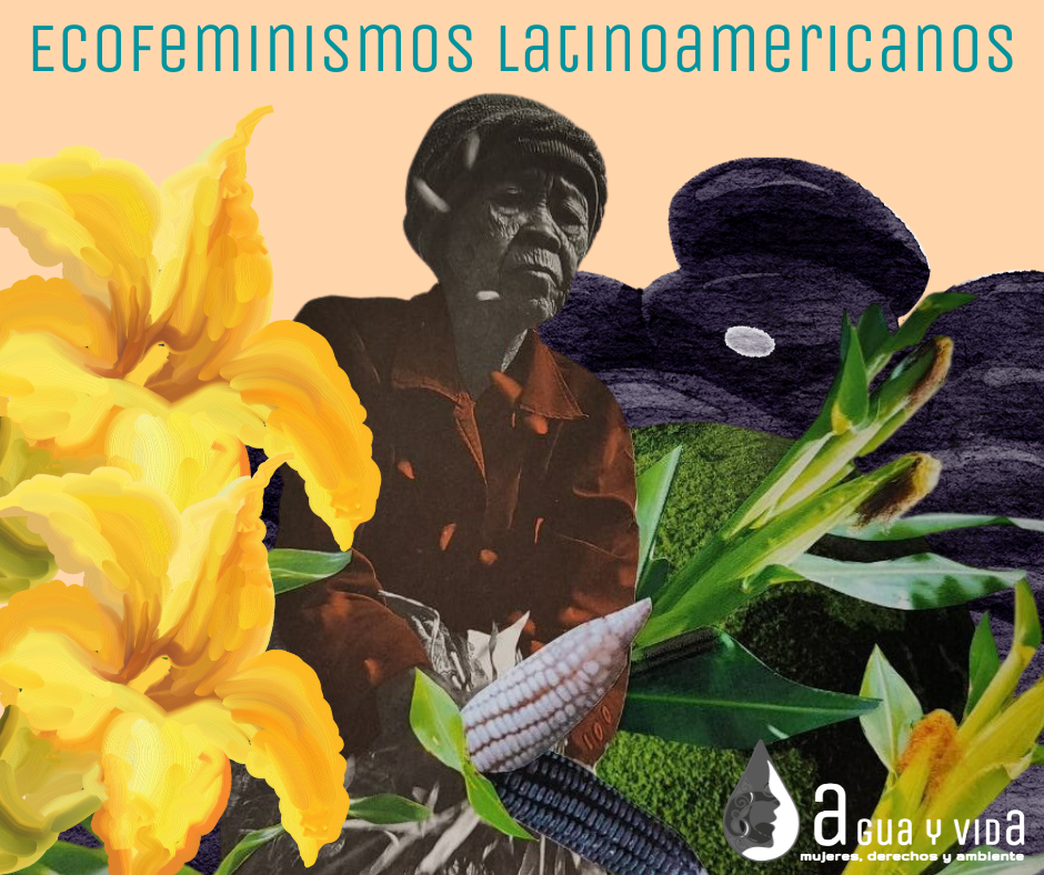 Curso Ecofeminismos Latinoamericanos